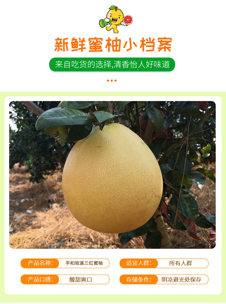 未标题-1.jpg