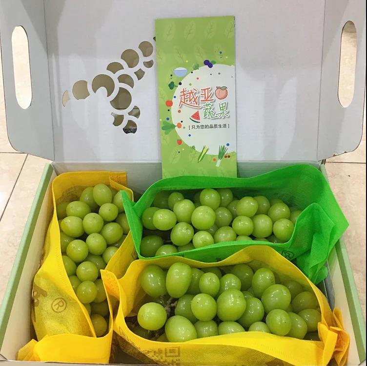 越亚阳光玫瑰晴王净重五斤礼盒装【仅发上海地区】