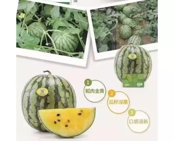 商品图片