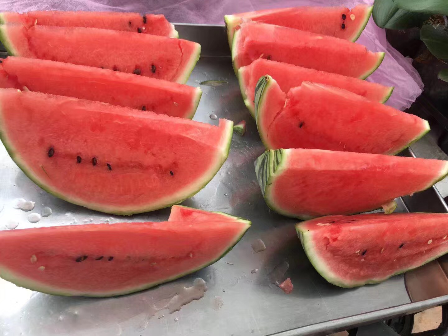 【专享】正宗南汇8424西瓜【上海地产优质西瓜评比金奖】【仅售上海