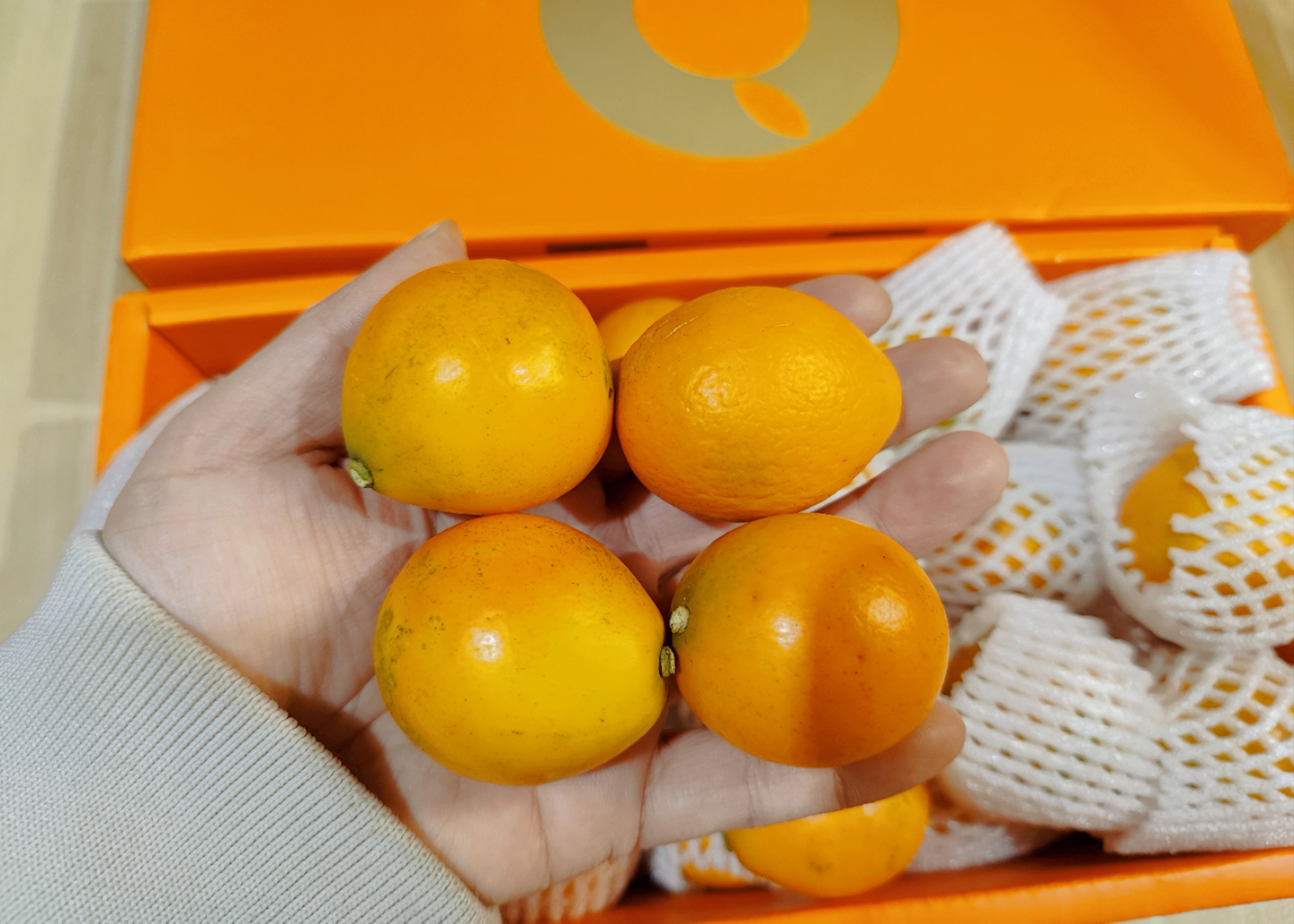 商品图片