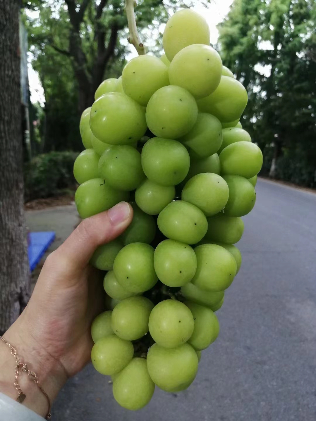 商品图片