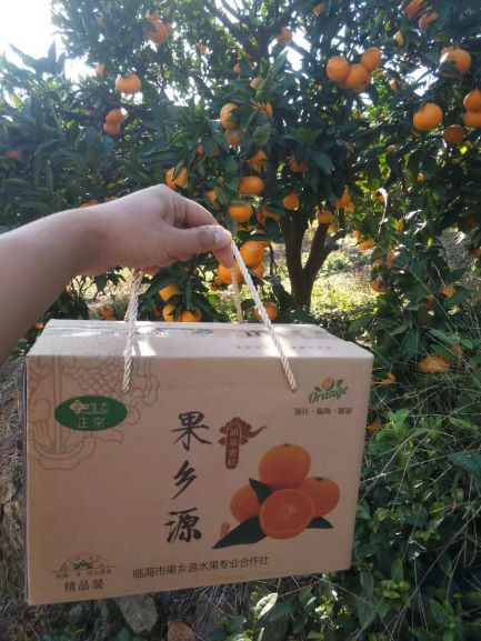 果香源普通装.jpg