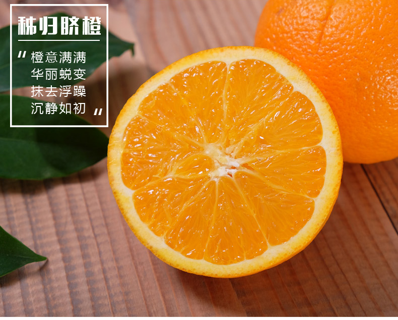 湖北秭归伦晚脐橙5斤装60-65mm 新鲜当季【水果上新】