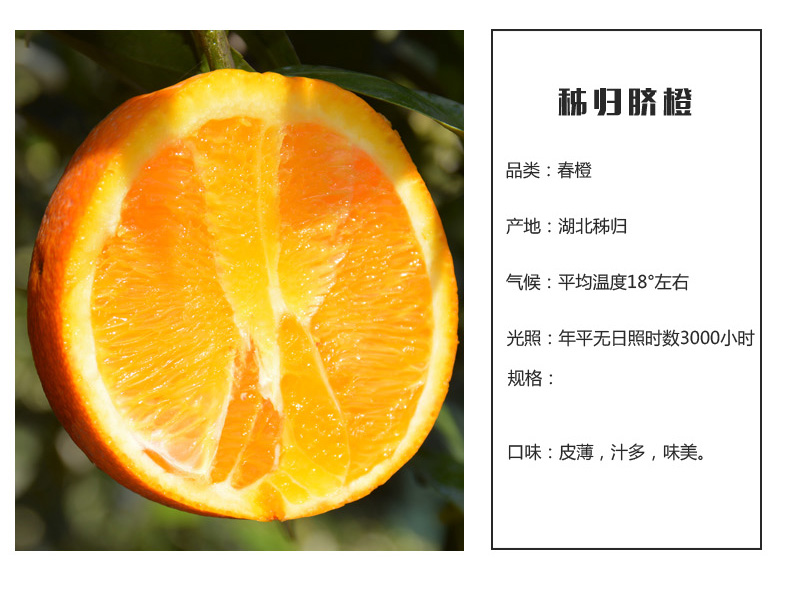 湖北秭归伦晚脐橙5斤装60-65mm 新鲜当季【水果上新】