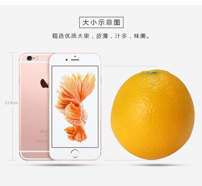 湖北秭归伦晚脐橙5斤装60-65mm 新鲜当季【水果上新】