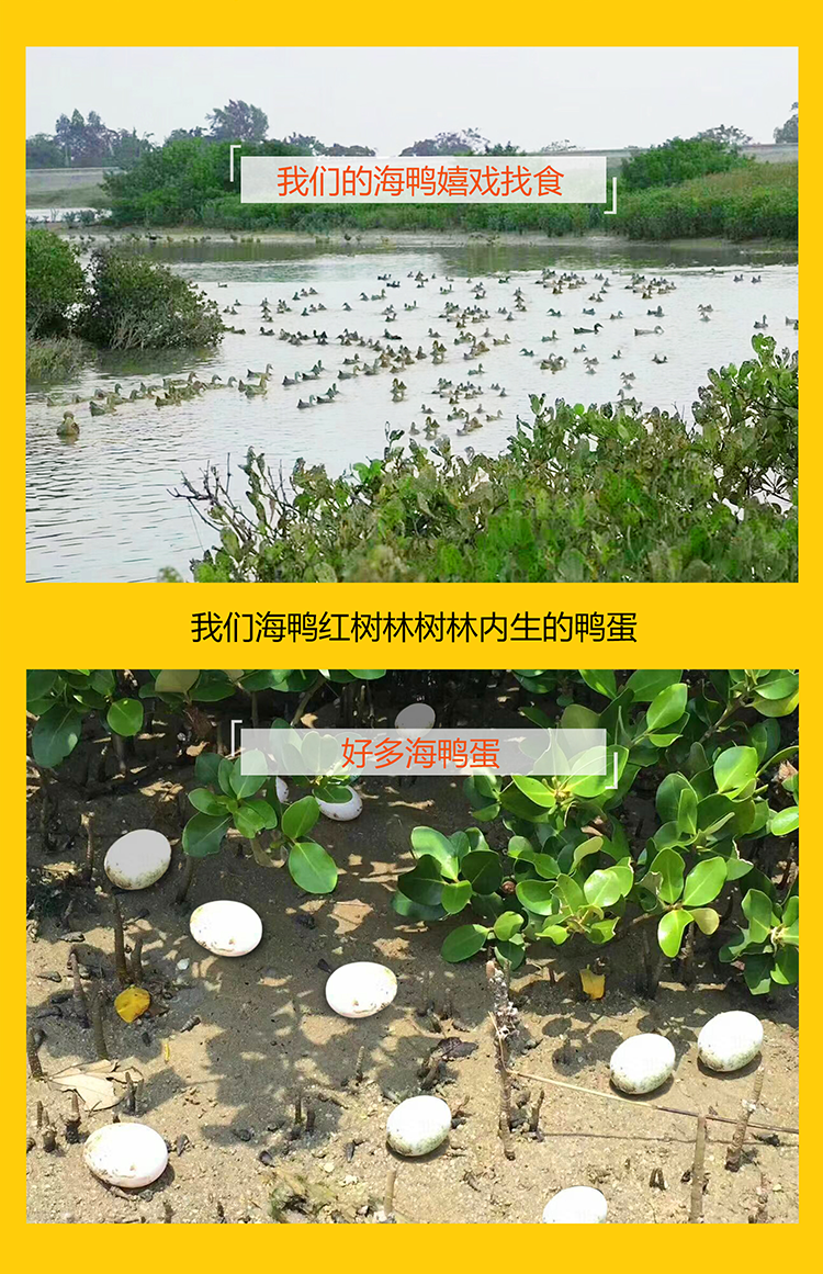 详情图7.png