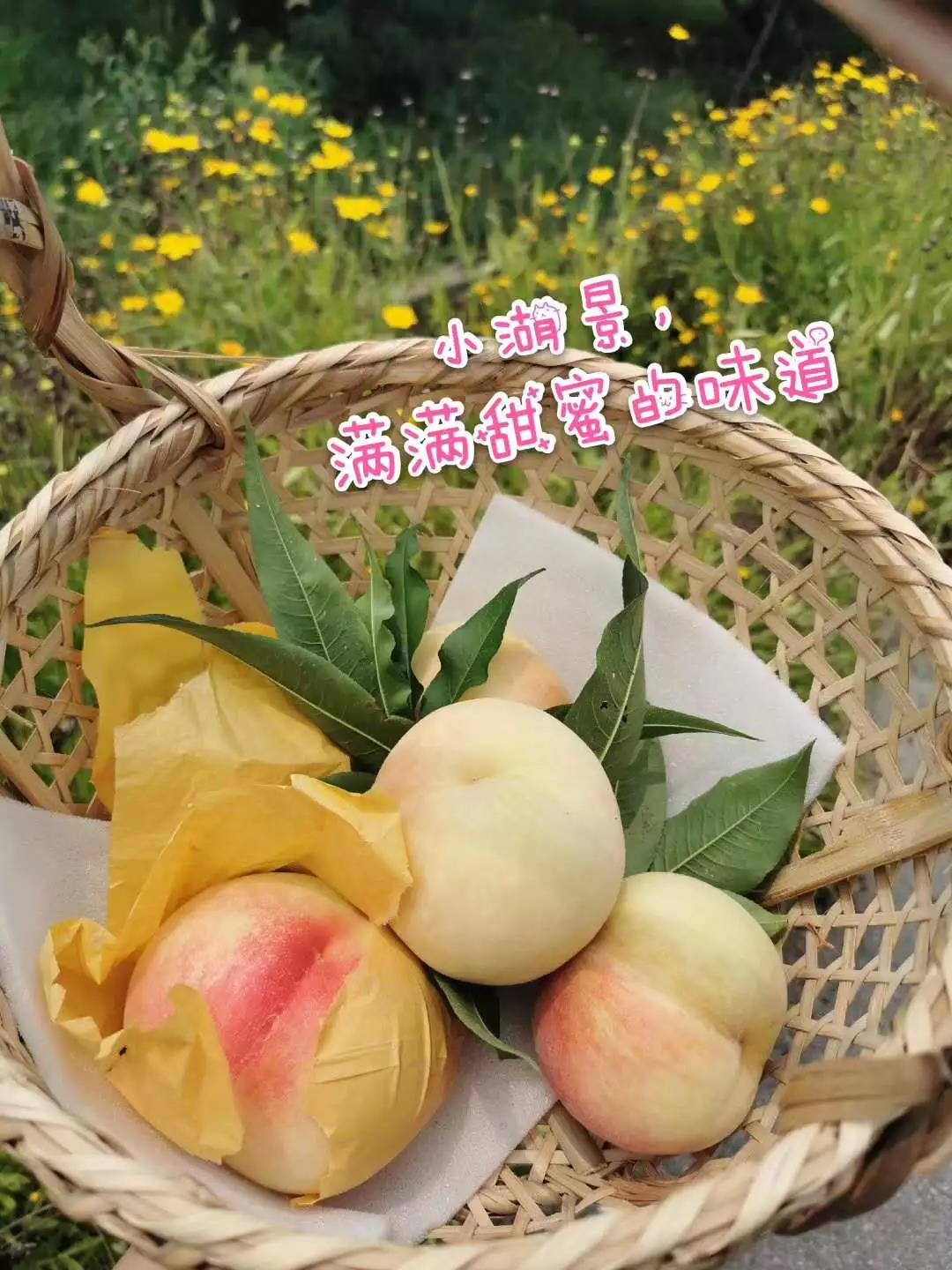 又是一季蜜桃成熟时 太湖阳山水蜜桃进驻上海City’Super | 国际果蔬报道