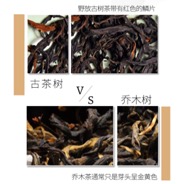 图片 5.jpg