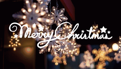 merry christmas &happy new year!