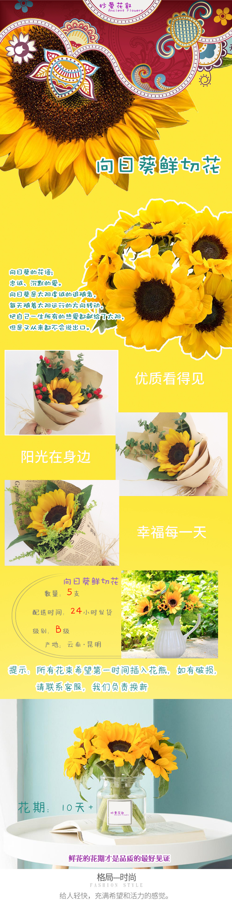 向日葵1.jpg