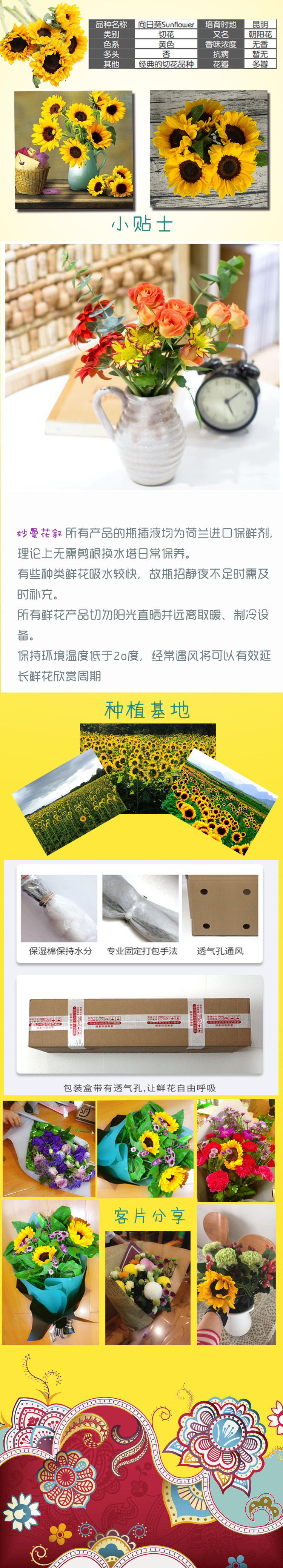 向日葵2.jpg