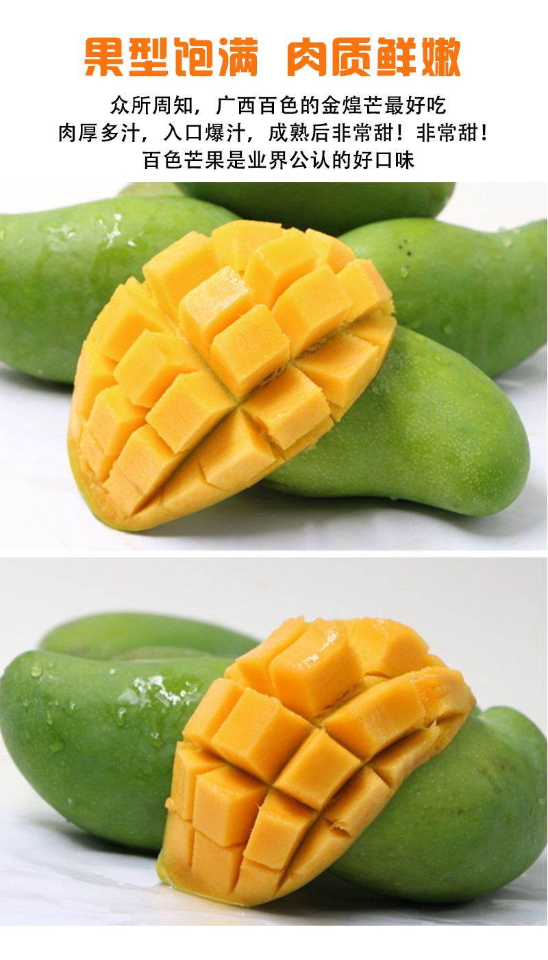 助农广西百色芒果小金煌芒59斤装皮薄多汁浓郁香甜