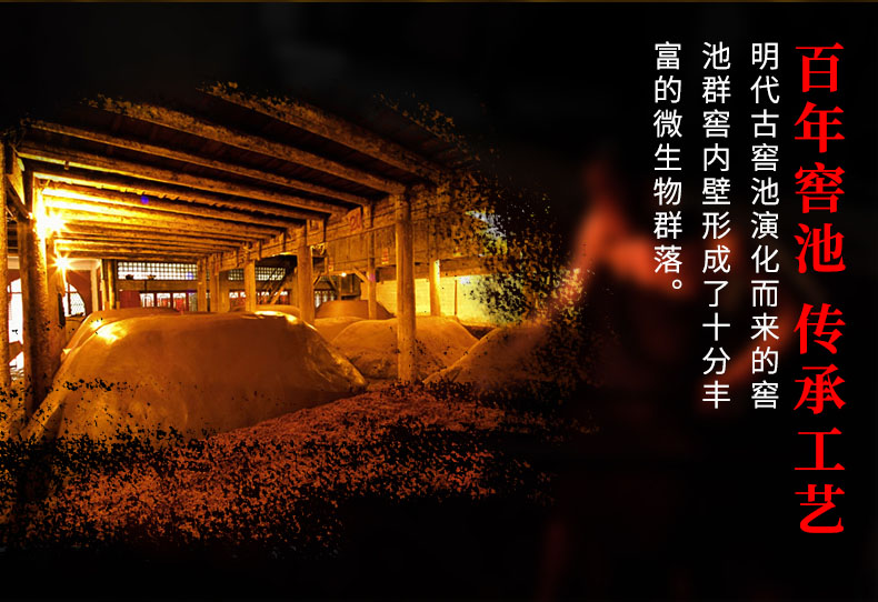 养生一号_09.jpg