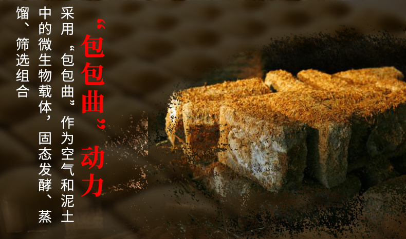 养生一号_10.jpg