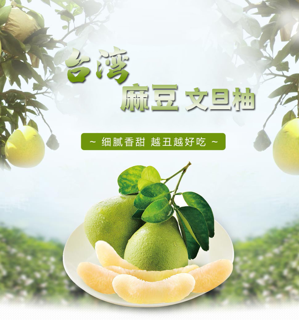 未标题-3.jpg