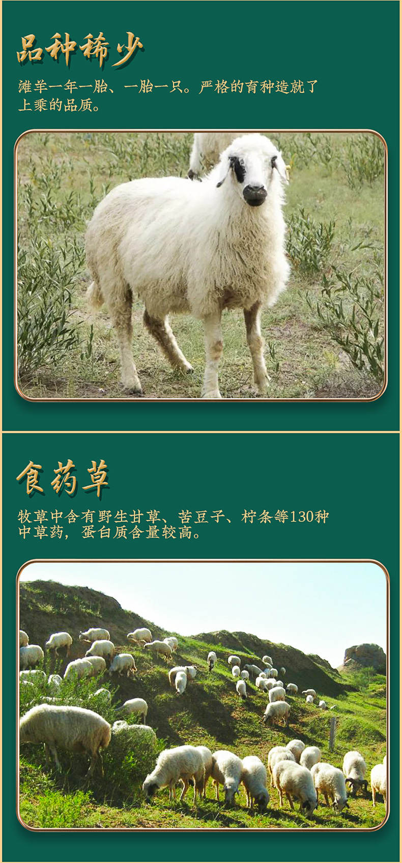 羊前腿详情_04.jpg