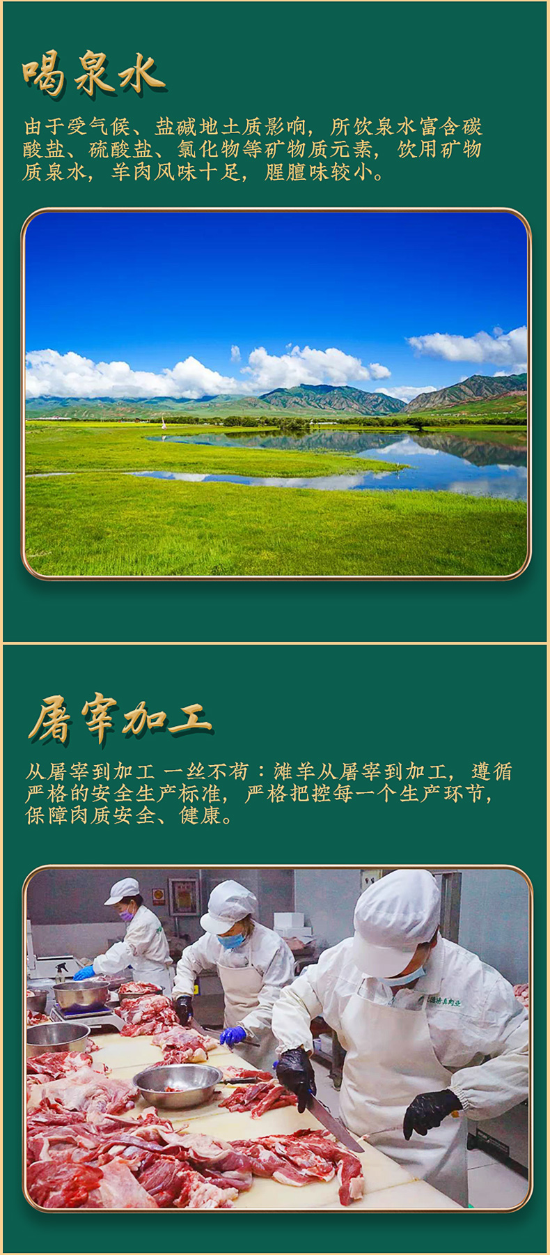 羊前腿详情_05.jpg