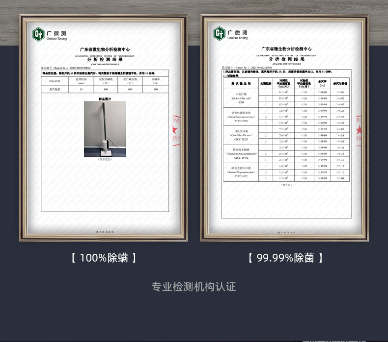 æèè¸æ±½ææè¯¦æ_09.jpg