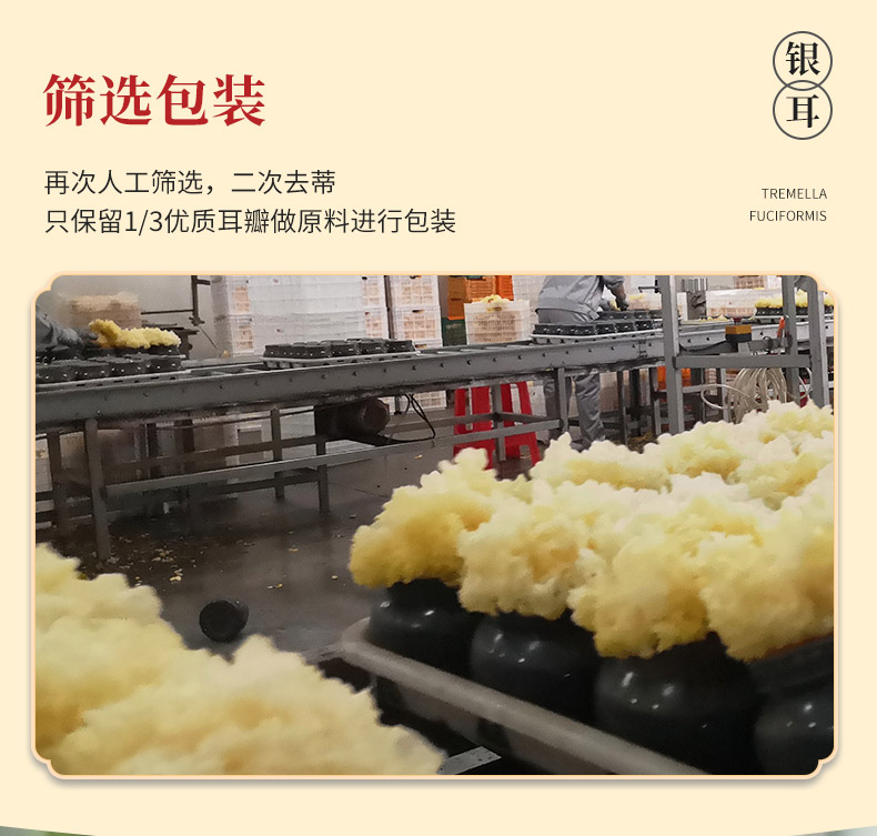 银耳_07.jpg