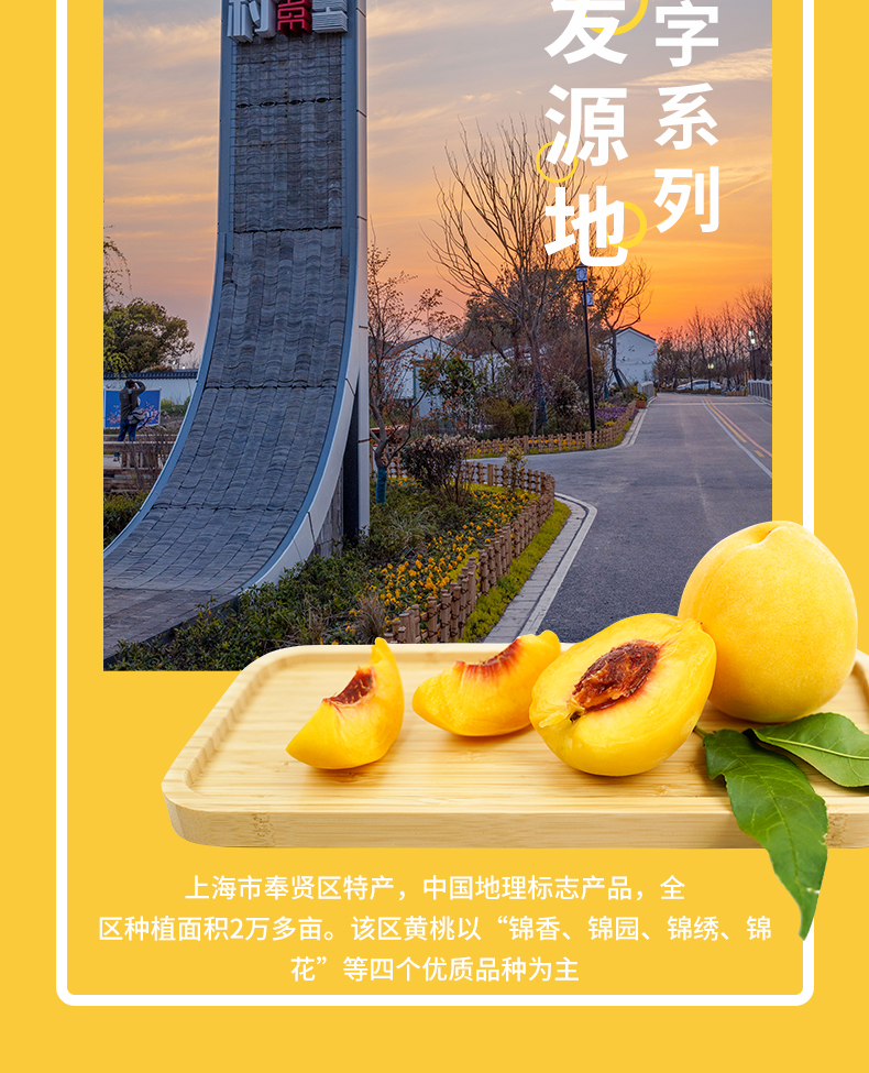 2022-黄桃详情页_03.jpg