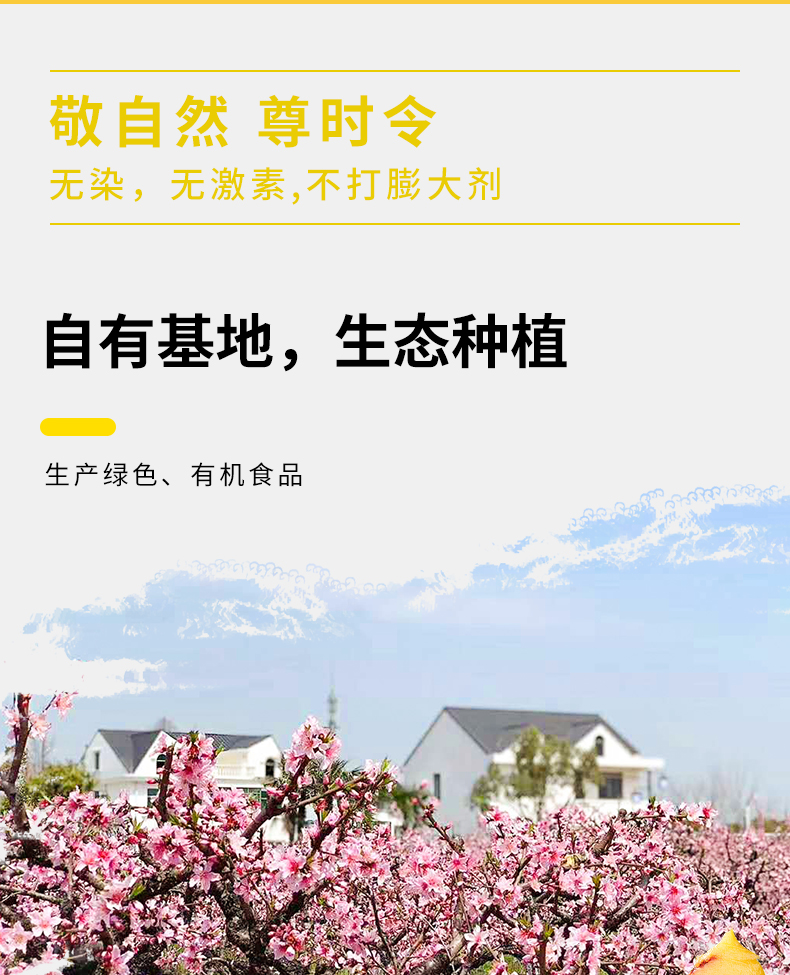 2022-黄桃详情页_04.jpg