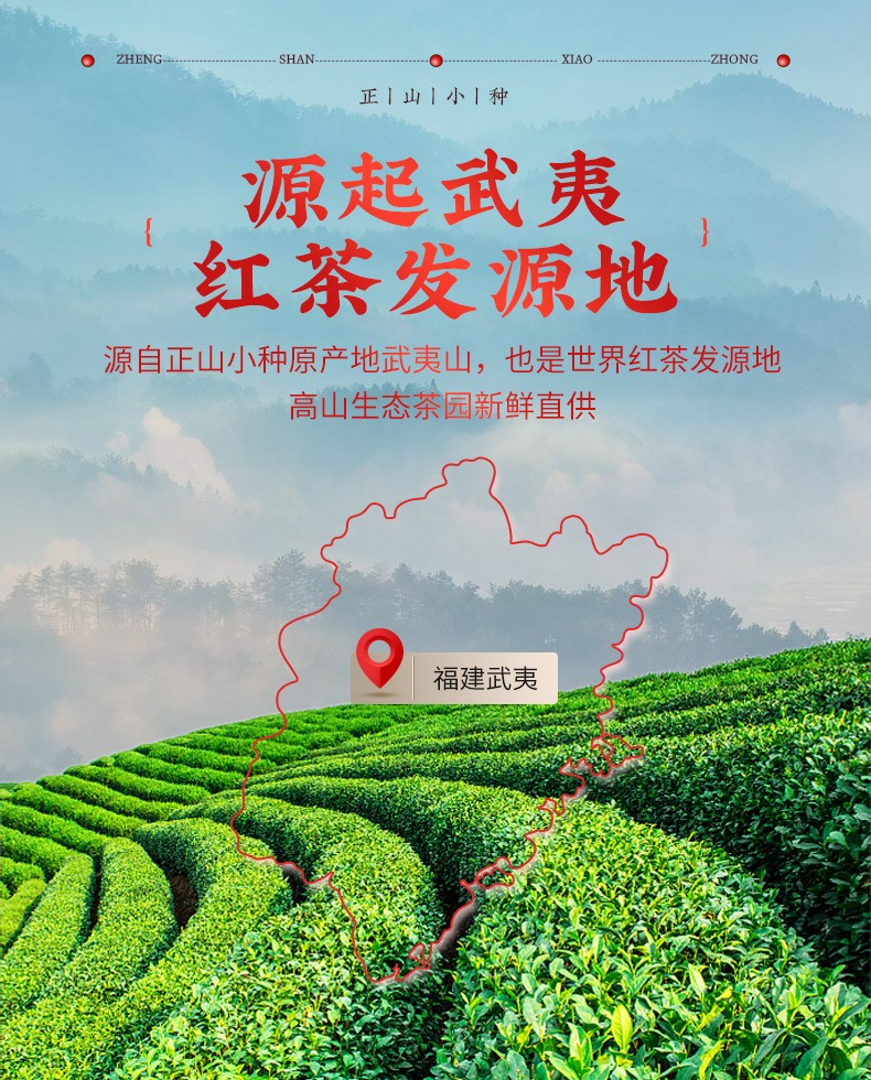 正山小种200g-3_02.jpg