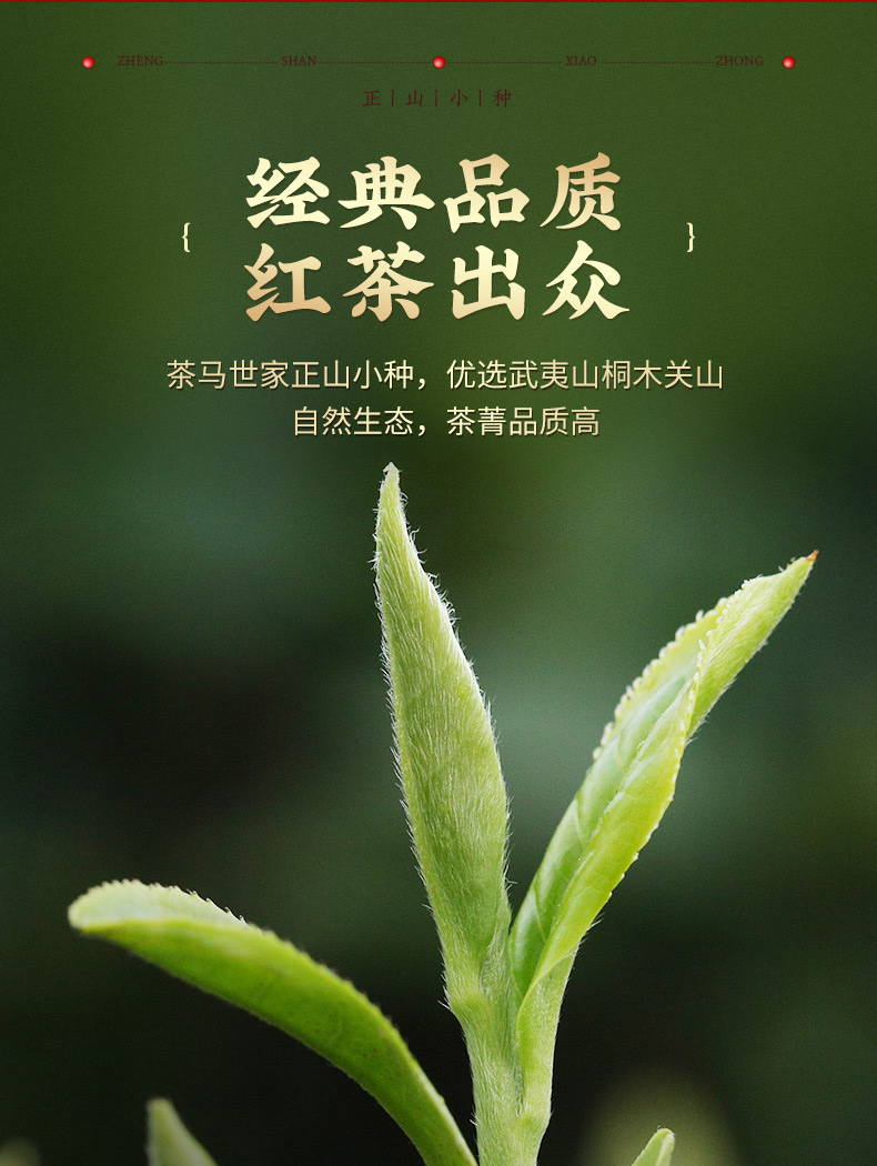 正山小种200g-3_04.jpg