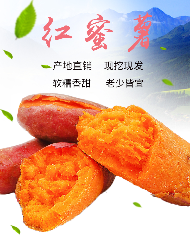 红薯详情_01.jpg