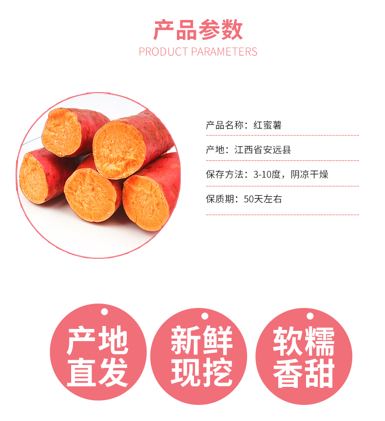 红薯详情_02.jpg