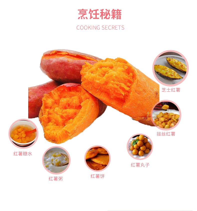 红薯详情_08.jpg