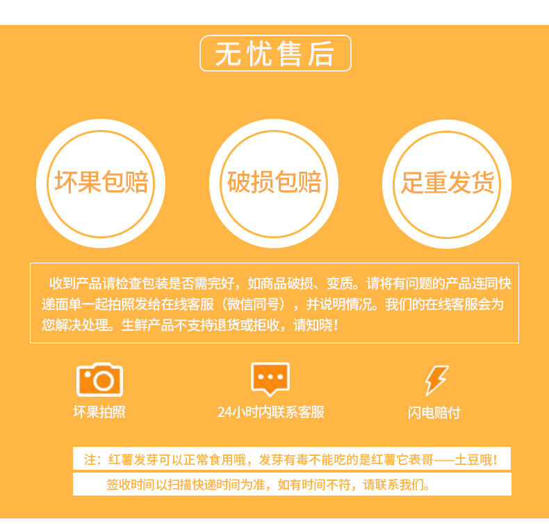 红薯详情_10.jpg