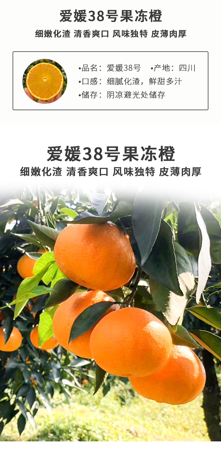 爱媛详情图_01.jpg