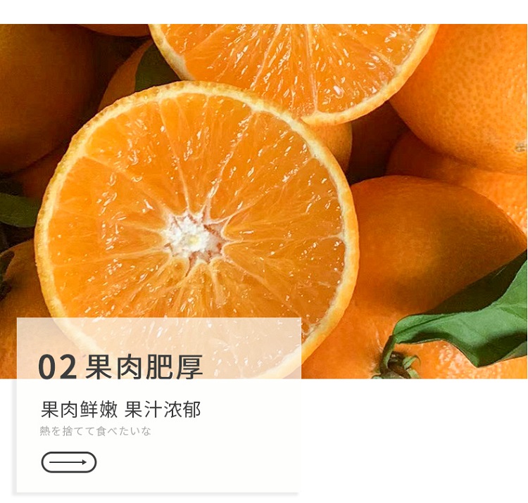 爱媛详情图_03.jpg