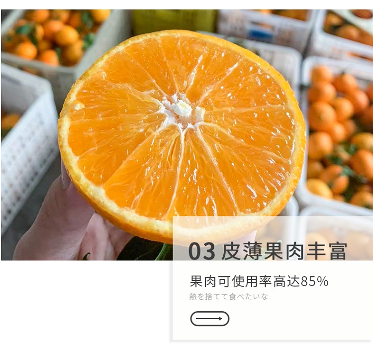 爱媛详情图_04.jpg
