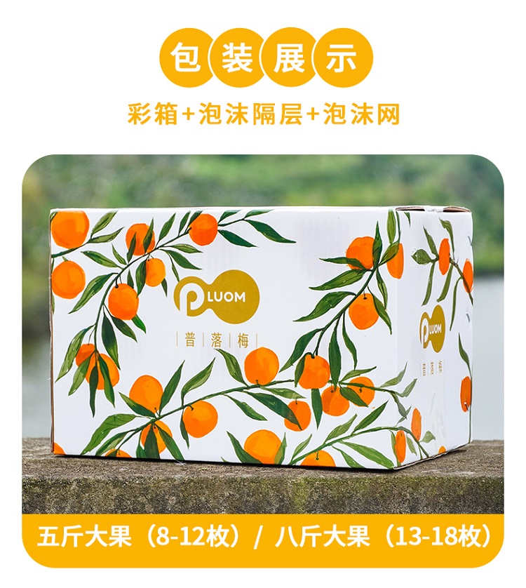 爱媛详情图_09.jpg