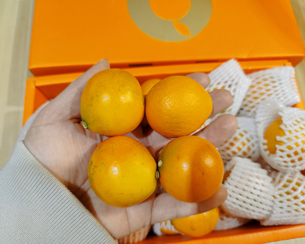 5555.jpg