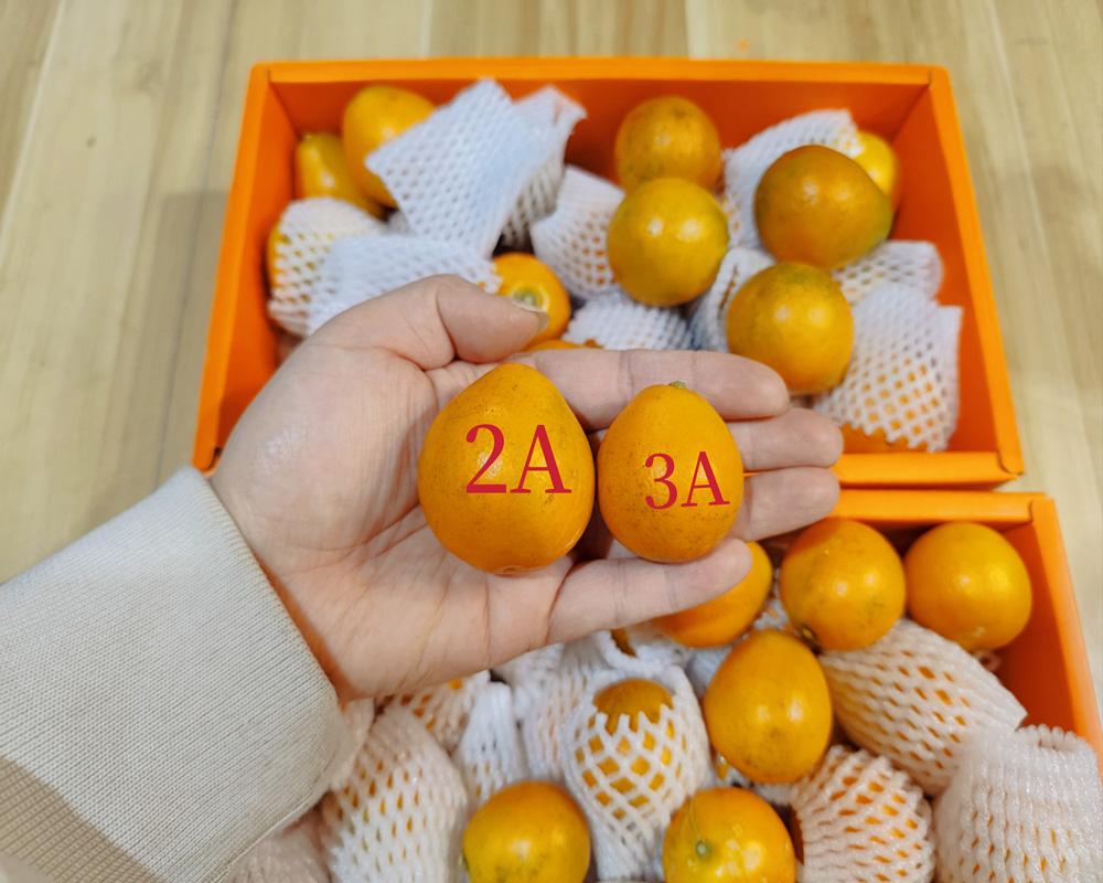 7777.jpg