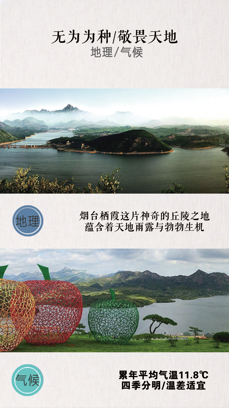 苹果 详情页 (1).jpg