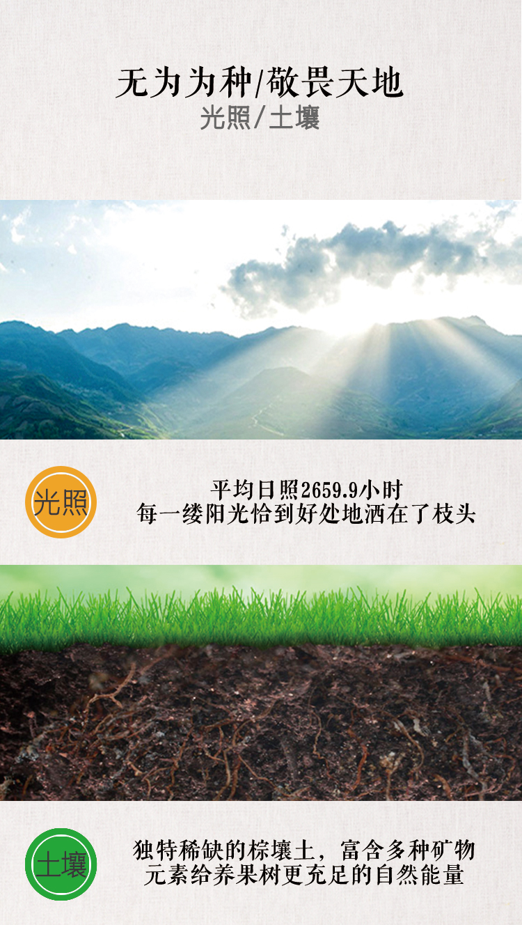 苹果 详情页 (2).jpg
