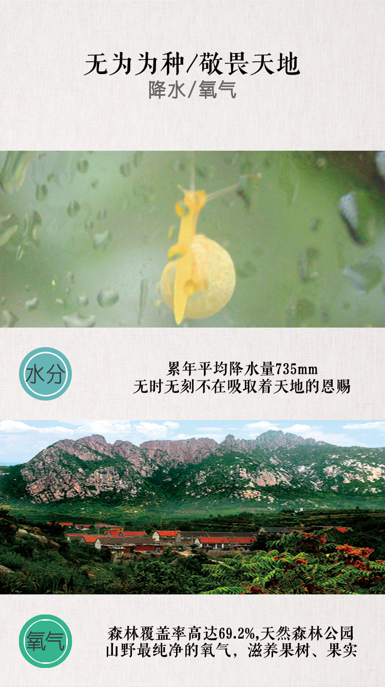 苹果 详情页 (3).jpg