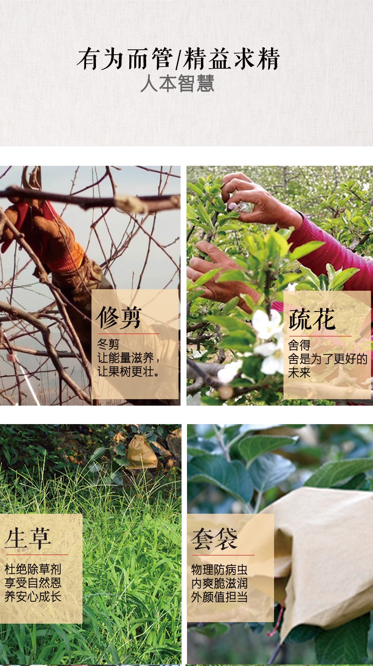 苹果 详情页 (4).jpg