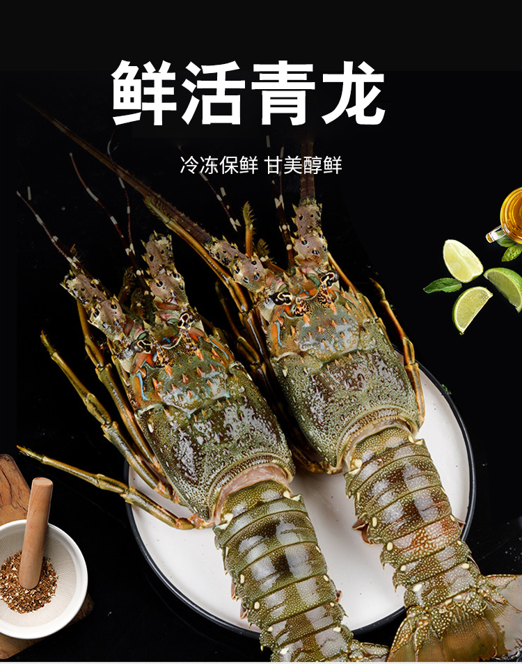小青龙_01.jpg