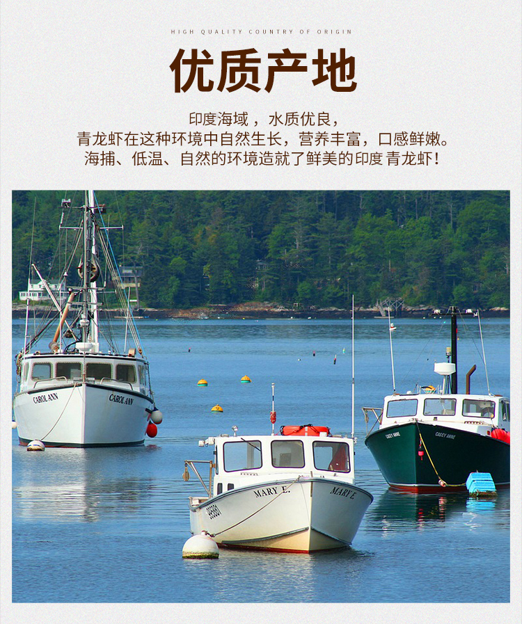 小青龙_04.jpg