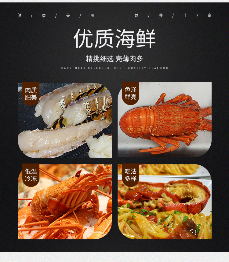 西非小青龙_05.jpg