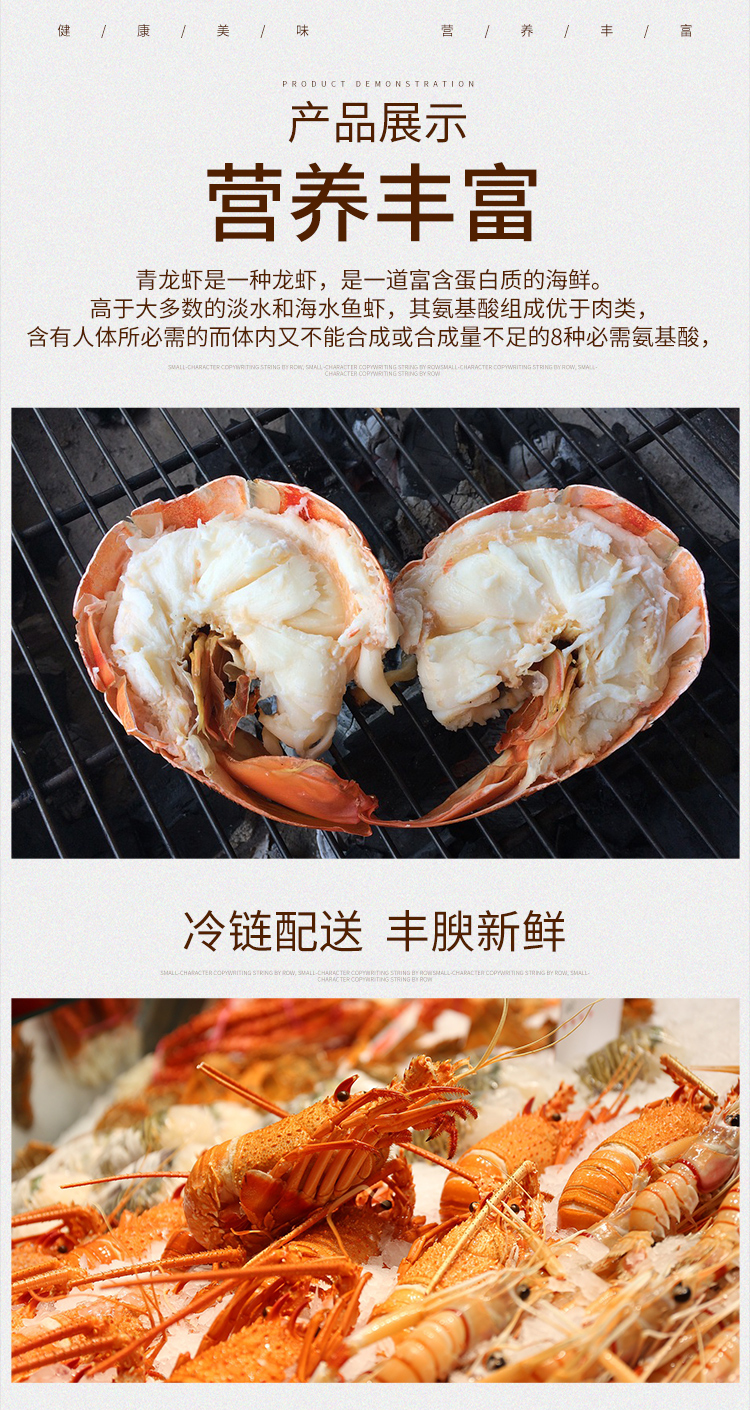 西非小青龙_06.jpg