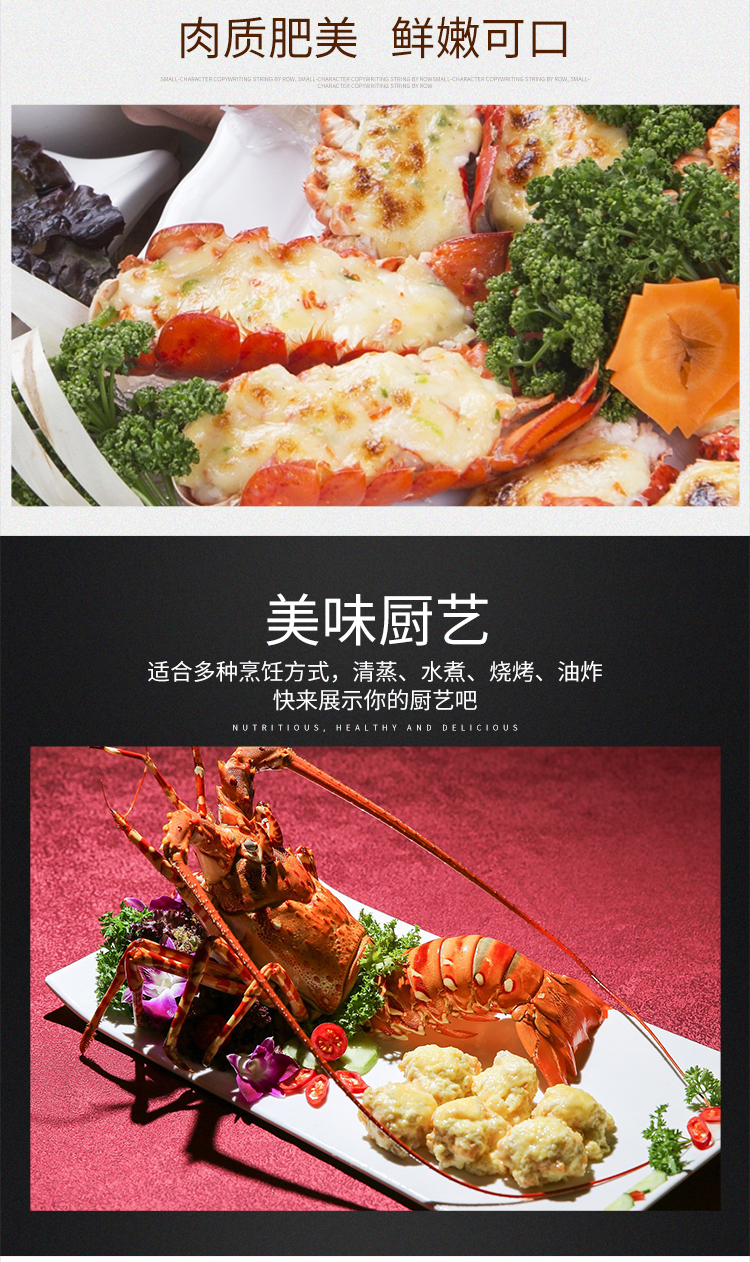 西非小青龙_07.jpg