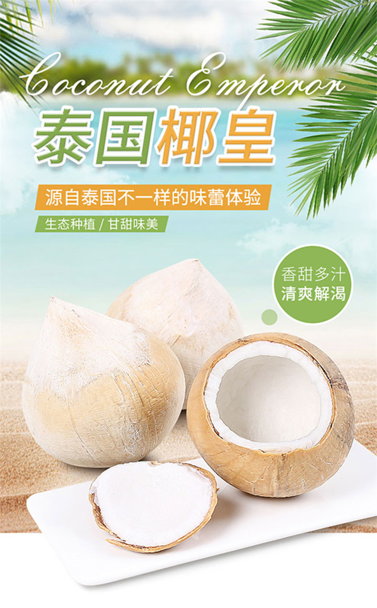 泰国椰皇（不发货区域：甘肃、内蒙古、宁夏、青海、黑龙江、吉林、新疆、西藏、港澳台地区）