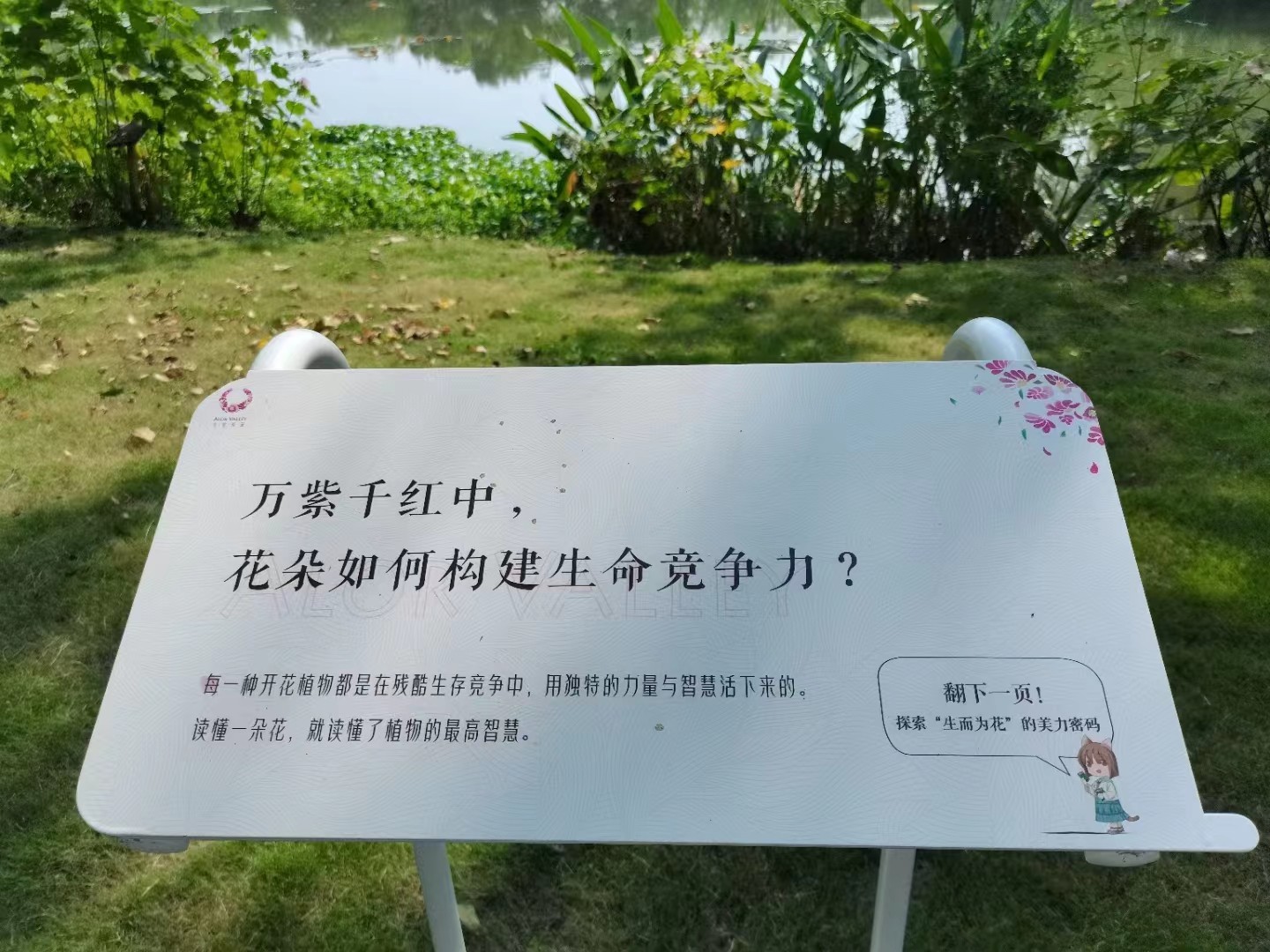 1687771867403025.jpg