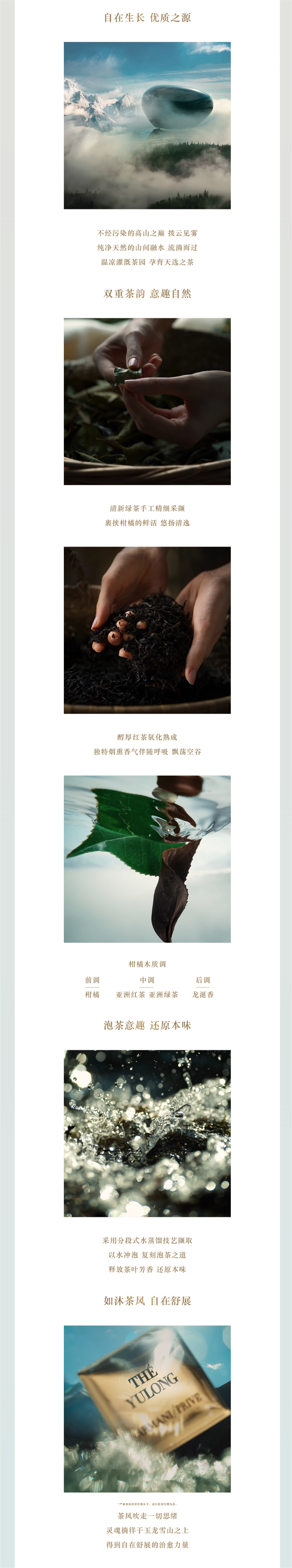 玉龙茶香.png